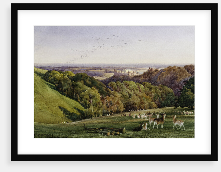 Evening in Arundel Park, Sussex, England by Charles James Adams