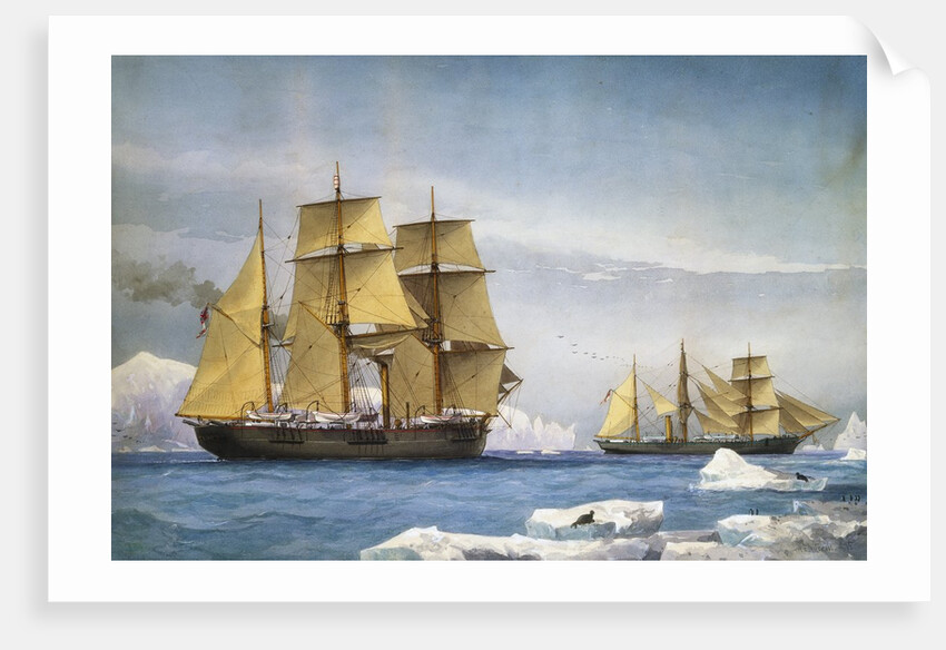 H.M.S. Alert and Discovery on the Arctic Expedition of 1865-1866 by William Frederick Mitchell
