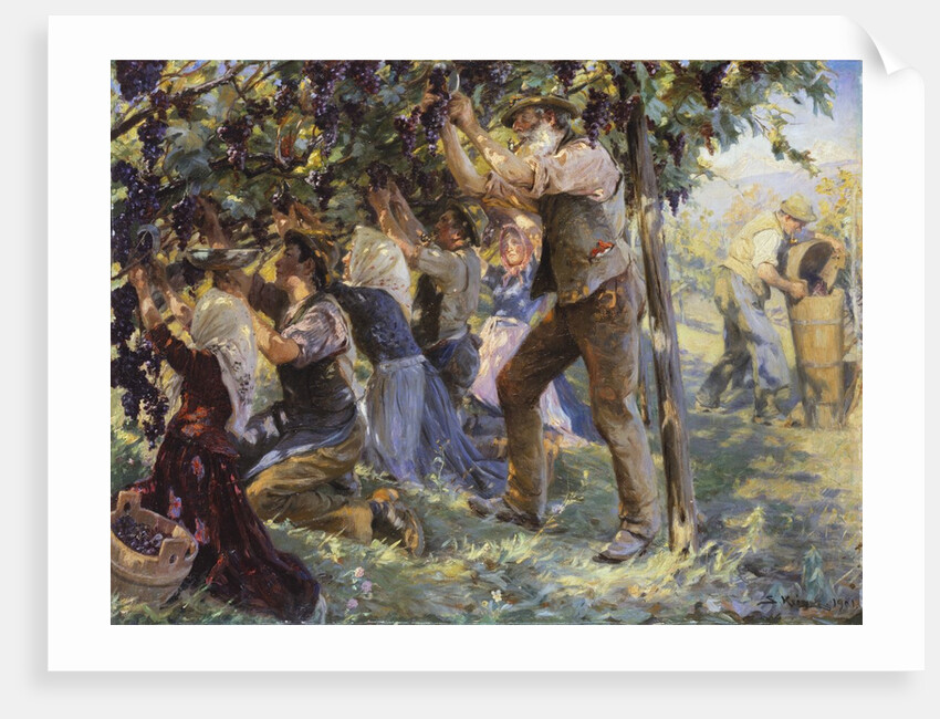 Vintage in the South Tyrol, Austria by Peder Severin Kroyer