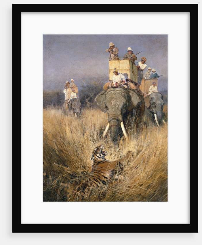 The Tiger Shoot by William Woodhouse