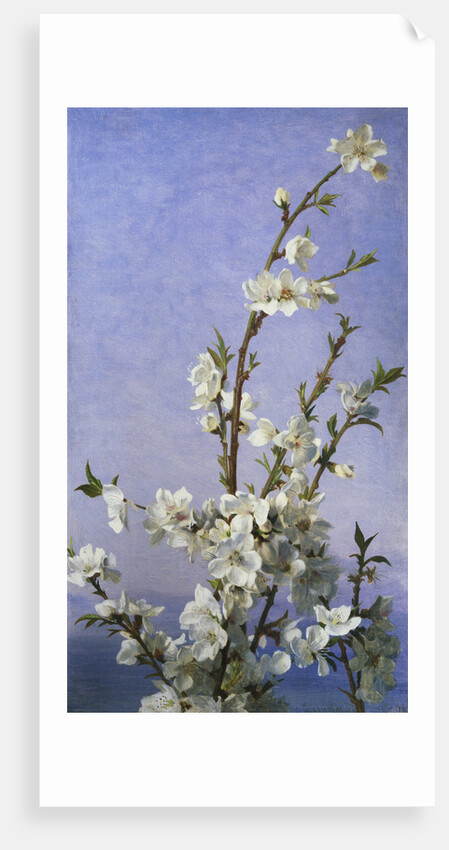 Blossom by Sophie Anderson