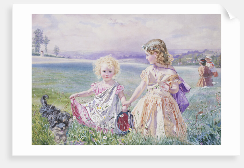 A Walk in the Summer Field by John Simmons