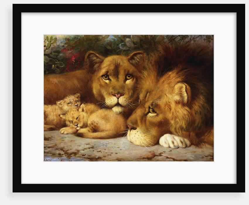 A Royal Family of Lions by William Strutt