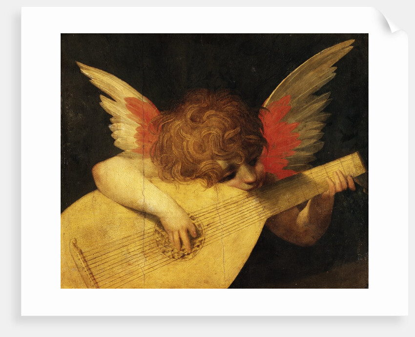 Musical Angel by Rosso Fiorentino