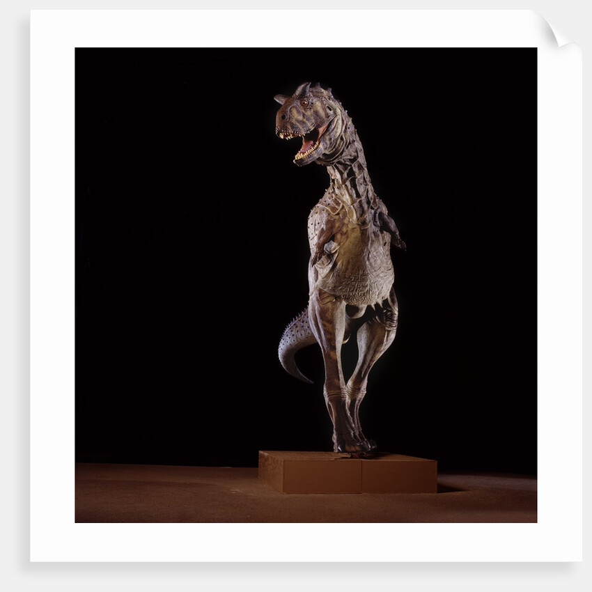 Sculpture of Carnotaurus by Anonymous