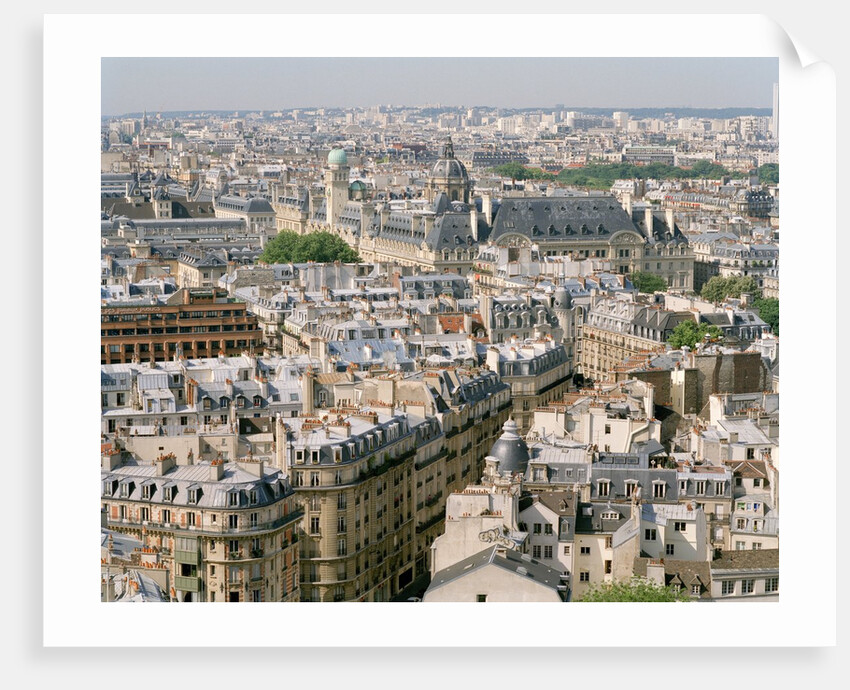Paris as Seen from Notre Dame by Anonymous
