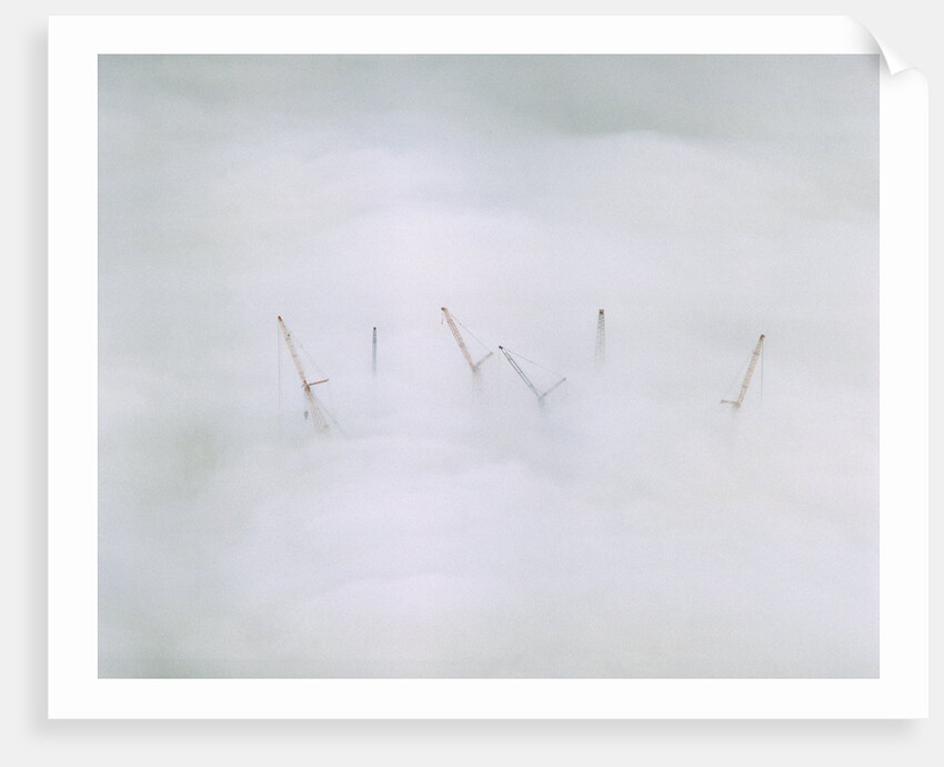 Cranes in Fog by Anonymous