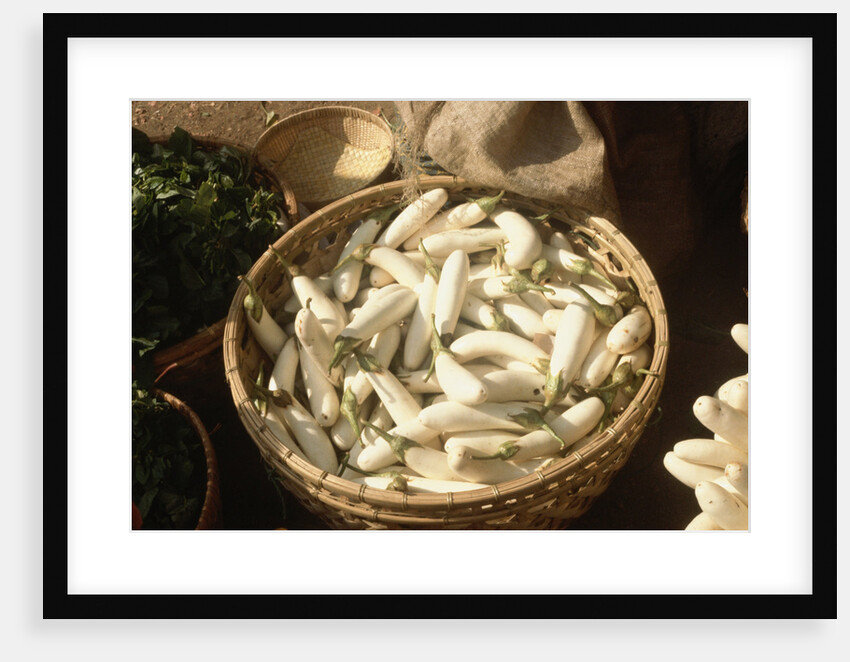 Basket of White Eggplants at the Market by Anonymous