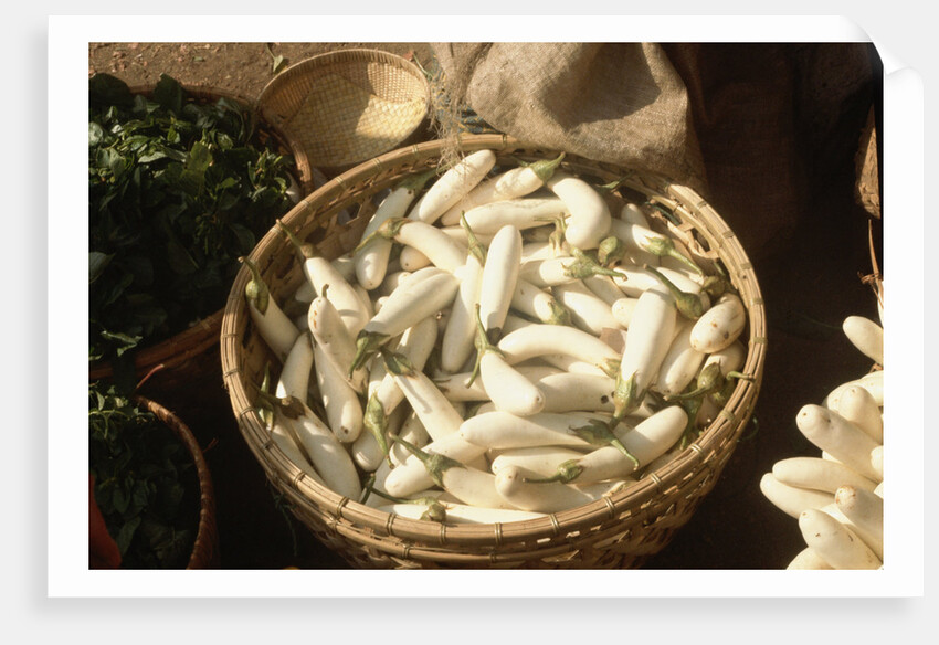 Basket of White Eggplants at the Market by Anonymous