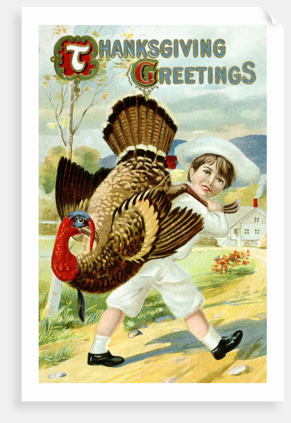 Thanksgiving Greetings Postcard with a Boy Carrying a Turkey by Anonymous