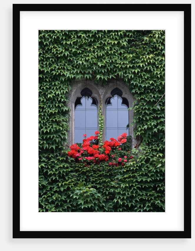 Window of Regensburg Town Hall by Anonymous