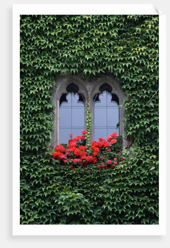 Window of Regensburg Town Hall by Anonymous