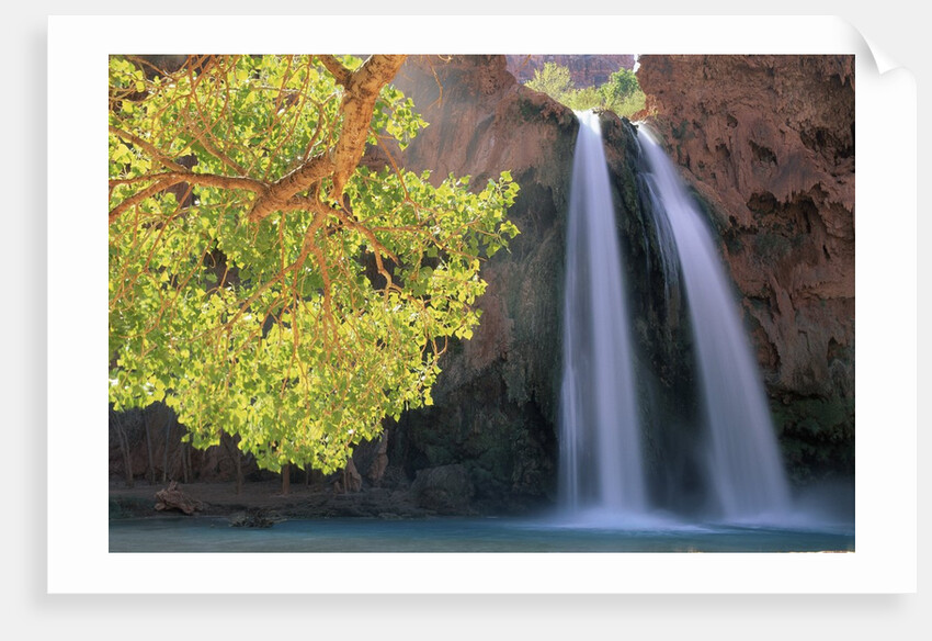 Havasu Falls by Anonymous