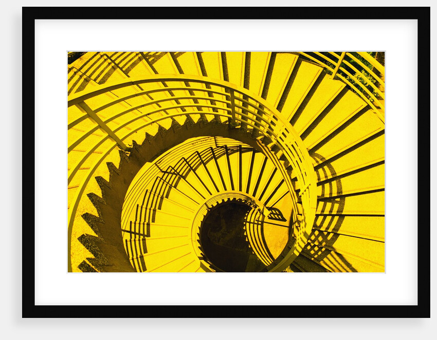 View from Above of Spiral Staircase by Anonymous