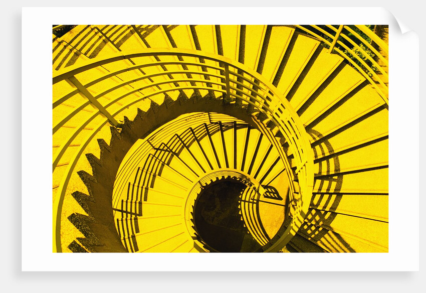 View from Above of Spiral Staircase by Anonymous