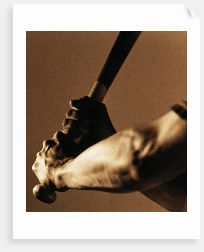 Bat in Batter's Hands by Anonymous