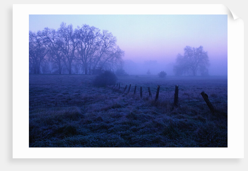 Meadow in the Morning Mist by Anonymous