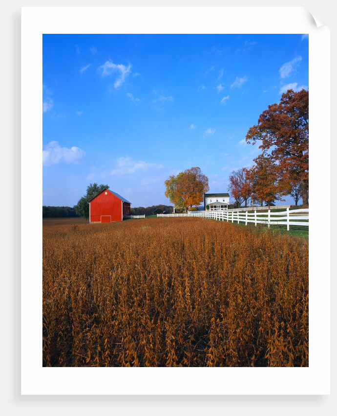 Farm in Autumn by Anonymous