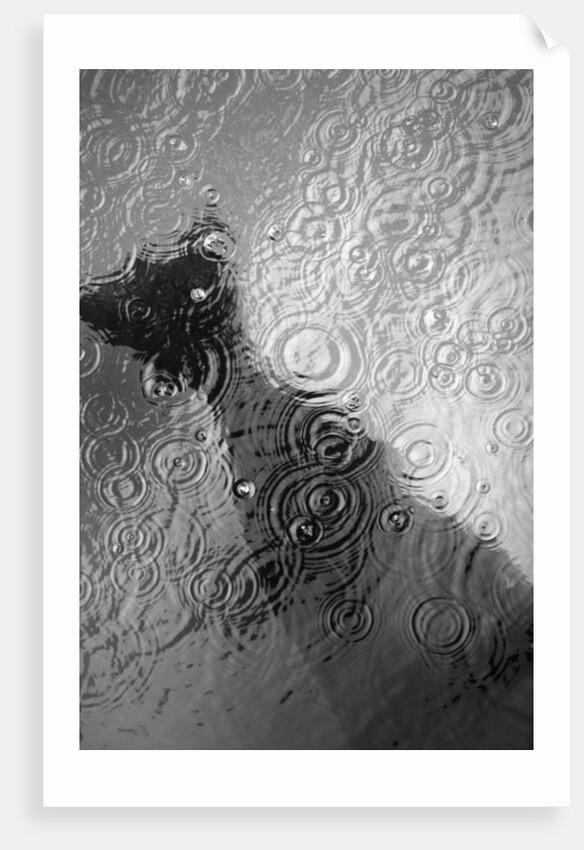 Raindrop Ripples on Fish Underwater by Anonymous