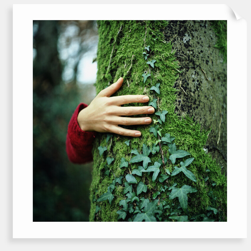 Tree Hugger by Anonymous