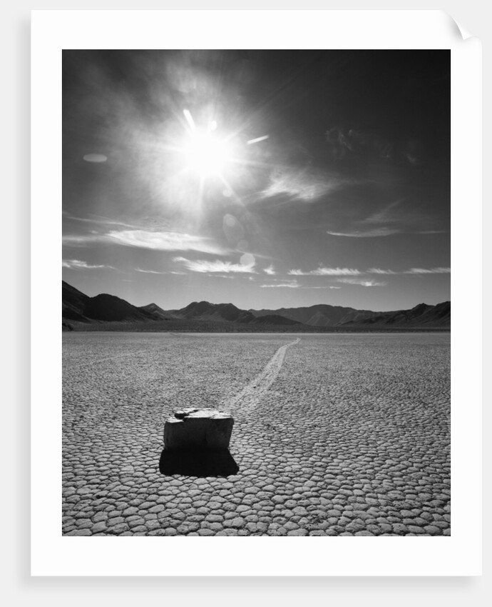 Rock at Racetrack Playa by Anonymous
