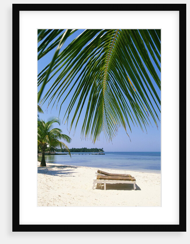 Deck Chairs on Beach by Anonymous