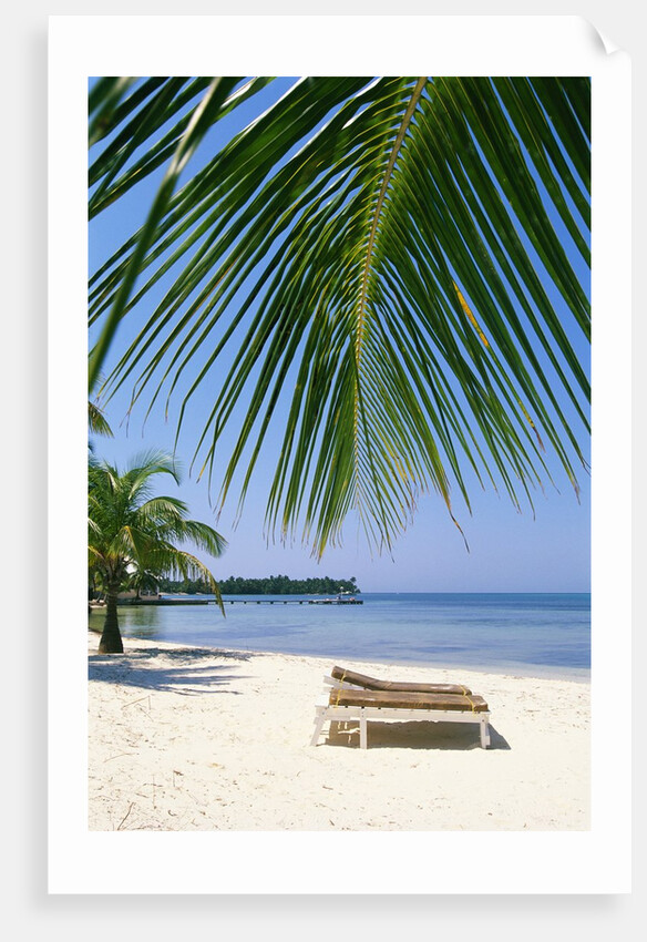 Deck Chairs on Beach by Anonymous