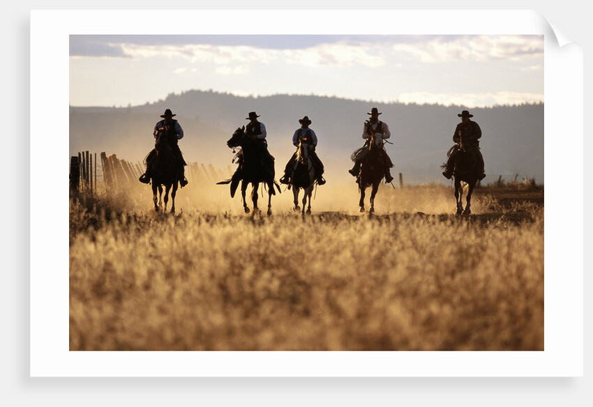 Cowboys Galloping Horses in Field by Anonymous