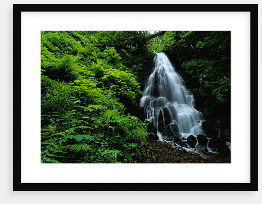 Fairy Falls by Anonymous