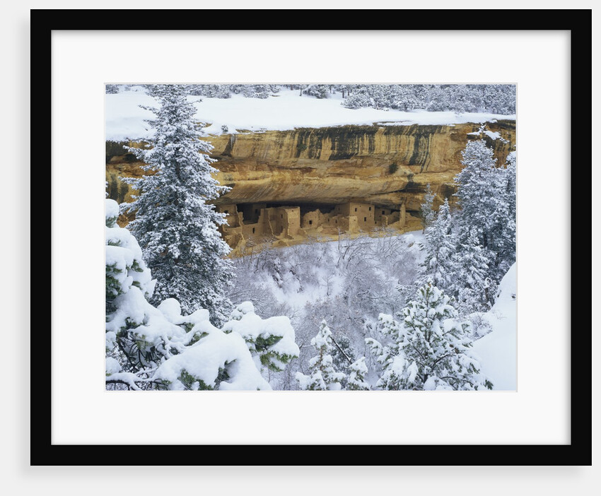 Snow Blankets Spruce Tree House Anasazi Cliff Dwelling at Mesa Verde National Park by Anonymous