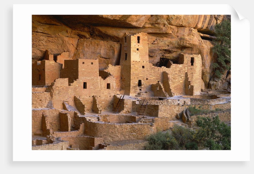 Cliff Palace by Anonymous
