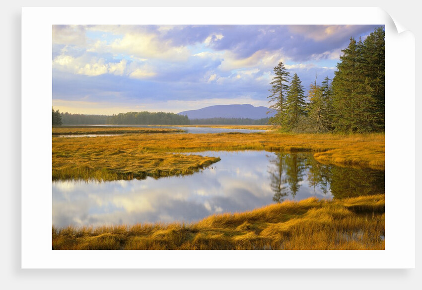 Bass Harbor Marsh and Western Mountain by Anonymous