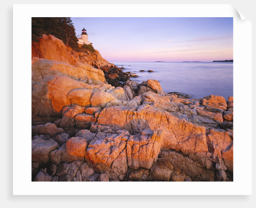 Bass Harbor Head Lighthouse at Sunset by Anonymous