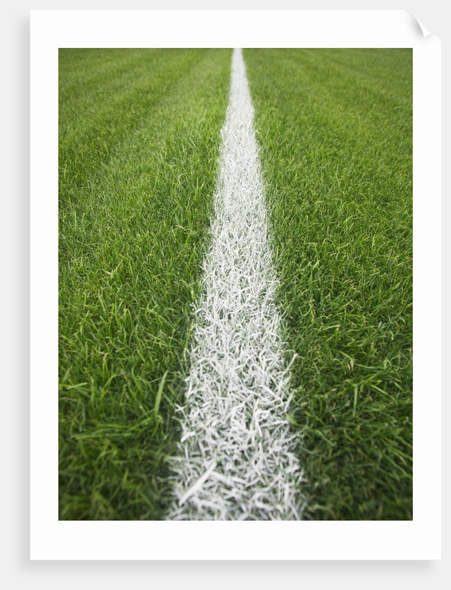 Painted Line on Athletic Field by Anonymous