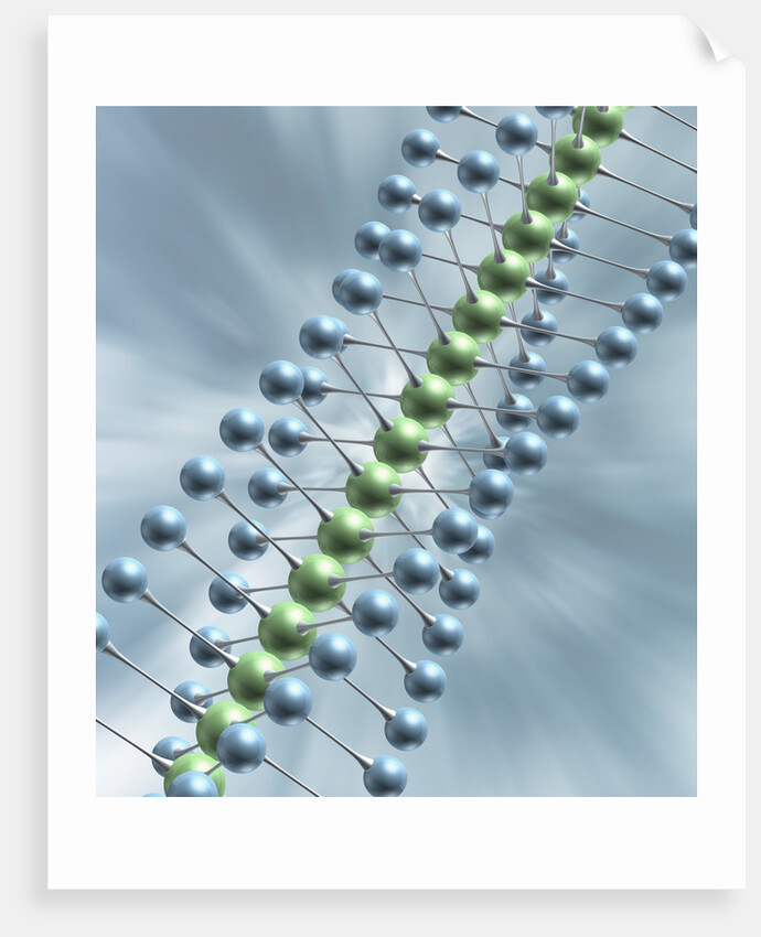 Chain of Molecules by Anonymous