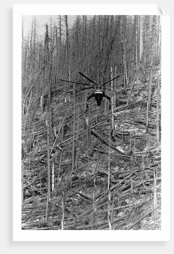 Helicopter Removing Fallen Trees by Anonymous