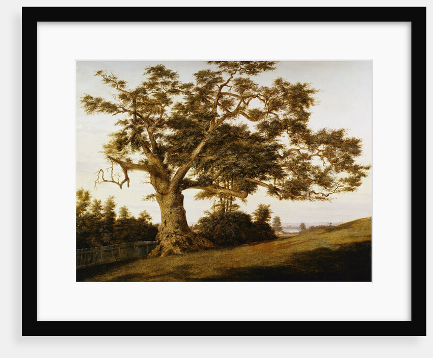 The Charter Oak by Charles de Wolfe Brownell