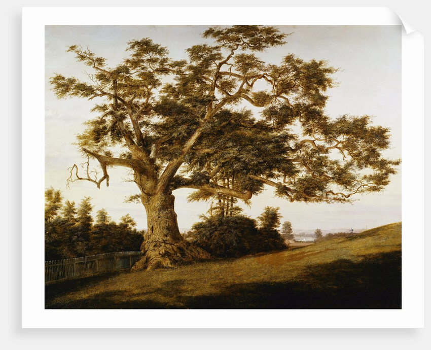 The Charter Oak by Charles de Wolfe Brownell