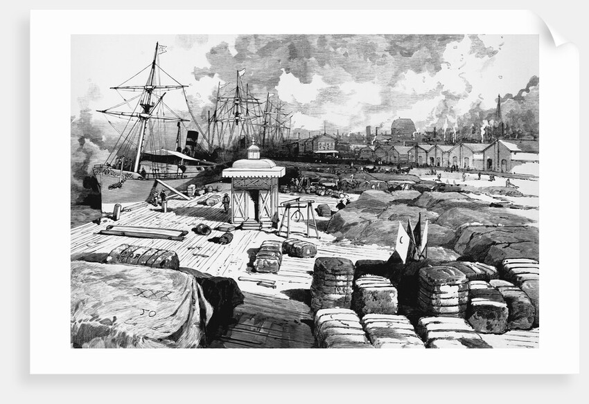 Sailing Ships at New Orleans Levees by Anonymous