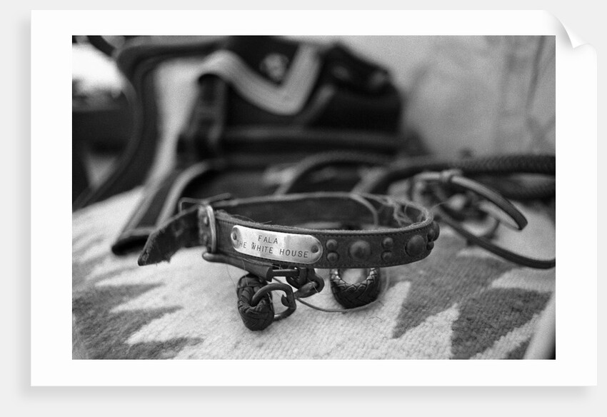 Dog Collar Belonging to Fala, President Franklin D. Roosevelt's Dog by Anonymous