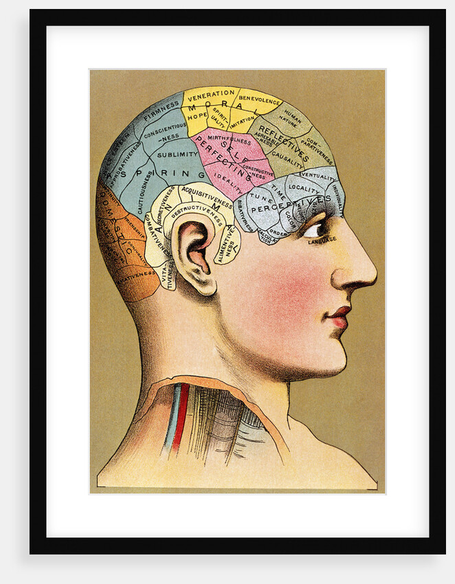 Color Lithograph of Phrenology Head with Human Capacities by Anonymous