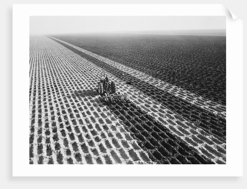 John Deere Model "G" Tractor In Field by Anonymous