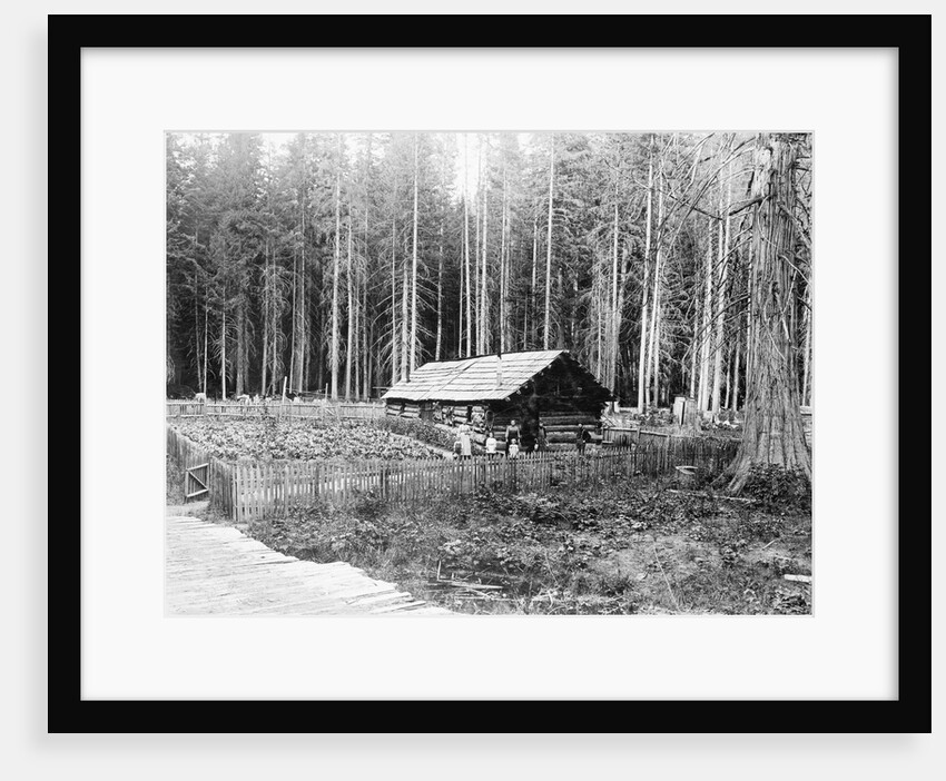 Homesteader In Home In Forest by Anonymous