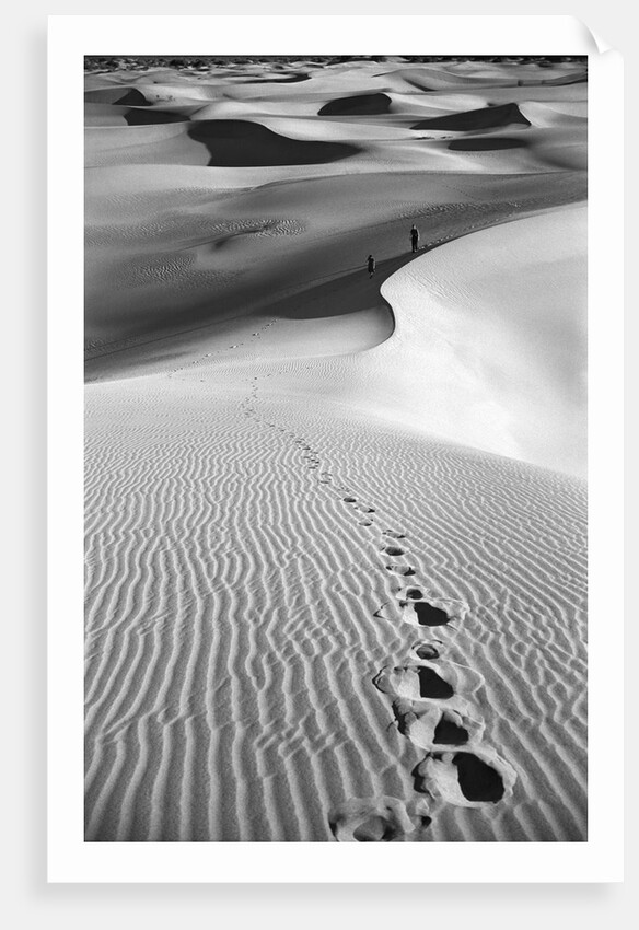 Footprints on Desert Dunes by Anonymous