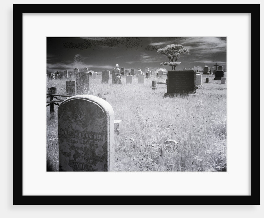 Overgrown Cemetery by Anonymous
