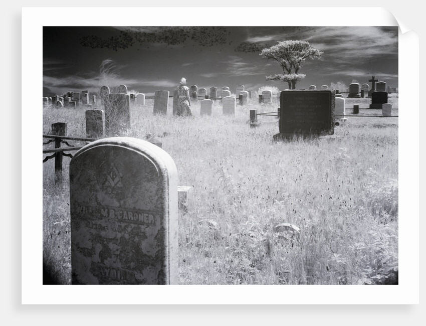 Overgrown Cemetery by Anonymous