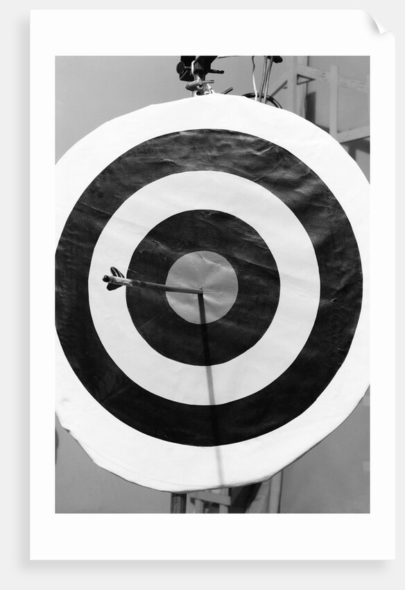 Archery Target With Arrow in the Bull's Eye by Anonymous