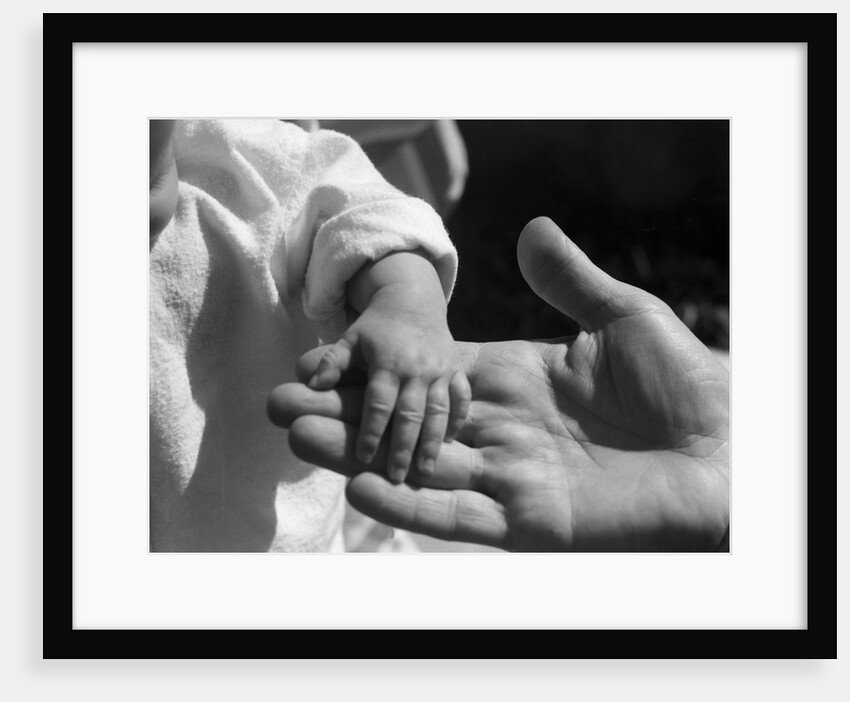 Infant's Hand in Man's Hand by Anonymous