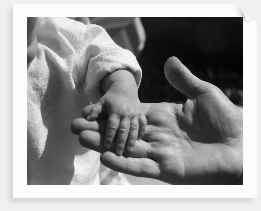 Infant's Hand in Man's Hand by Anonymous