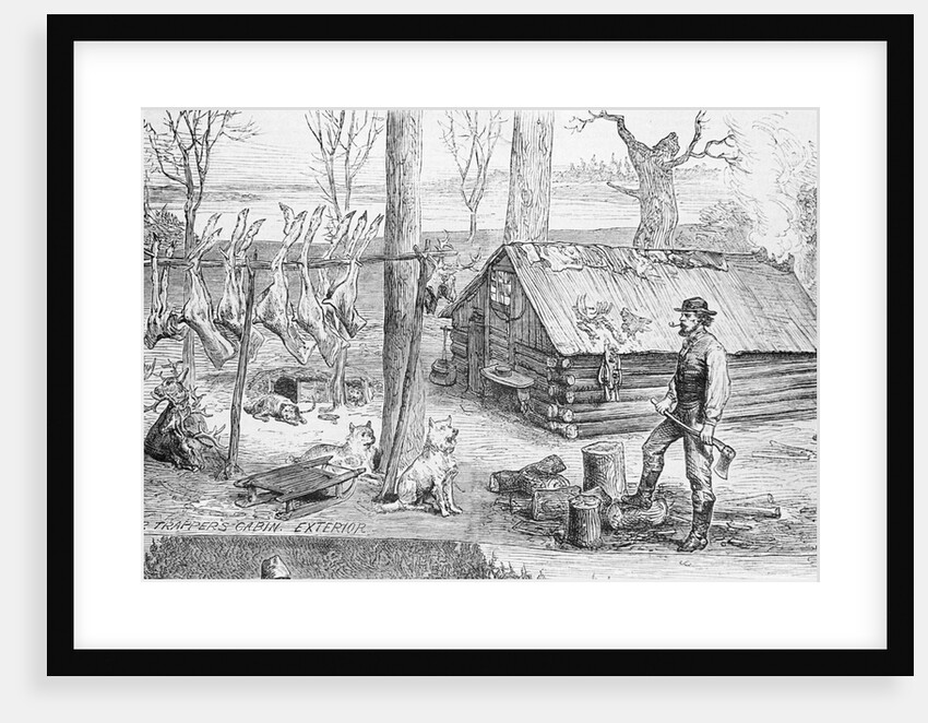Fur Trapper's Log Cabin In Canada by Anonymous